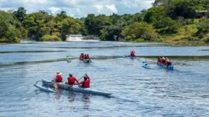 Conheca a Floresta Nacional de Tapajos em Santarem 1