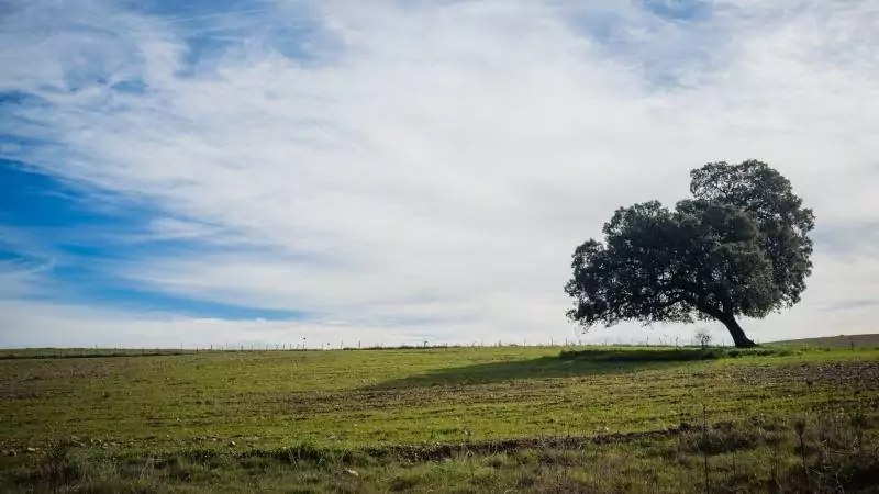 explore a serra ibitira piroca em alter do chao